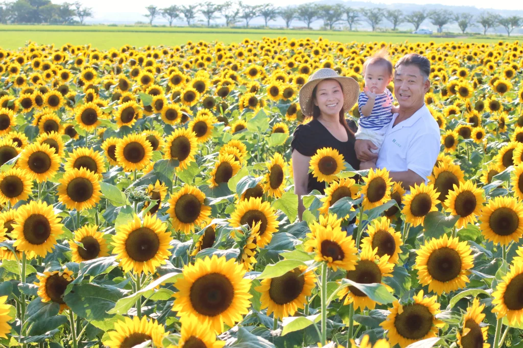 千葉の出張撮影『ジョイスタジオ（Joystudio）』が、ひまわり畑のロケーションで自然な笑顔を引き出した家族写真